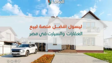 صورة أفضل موقع تأجير سيارات وعقارات في مصر: كل ما تحتاجه مع ليسول